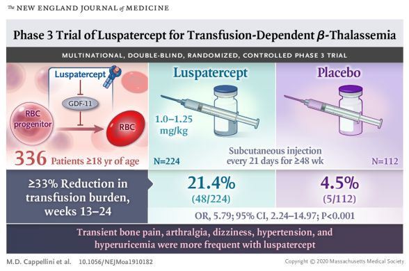 luspatercept luspatercept