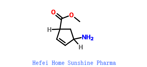 Methyl (1S, 4R) -4-aminocyclopent-2-ene-1-carboxylate CAS 138923-03-2