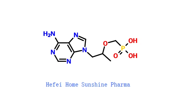 Tenofovir CAS 147127-20-6