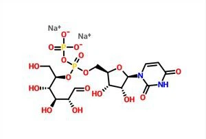 Uridine 5'-diphosphoglucose Disodium Salt UDP-G CAS 28053-08-9