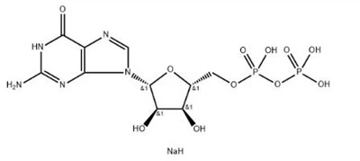 Guanosin-5'-diphosphate Disodium Salt CAS 7415-69-2