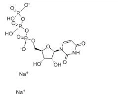 Halen Diaodium Uridine 5'-triffosffad CAS 285978-18-9